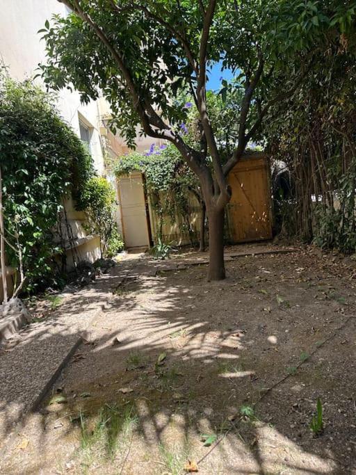 2p Palm Avec Jardin Et Terrasse Appartement *